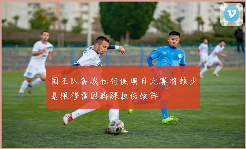 国王队备战独行侠明日比赛将缺少基根穆雷因脚踝扭伤缺阵